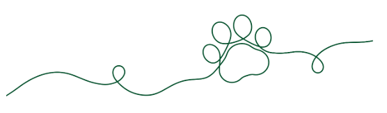 Screenshot 2025-09-14 at 5.09.18 PM Screenshot 2025-09-14 at 5.09.18 PM